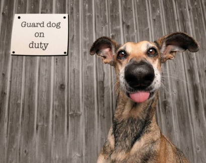 daily picdump-5-2