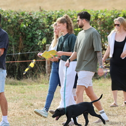 Terrier Racing